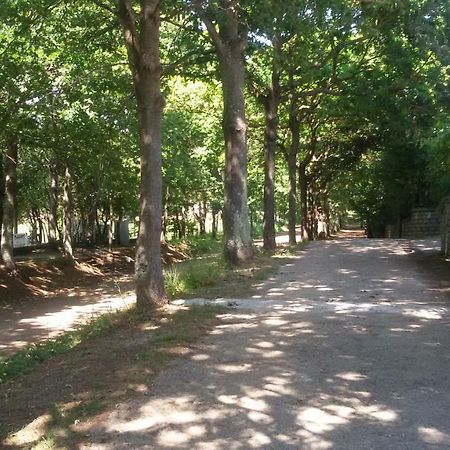 Alloggio Turistico Olmata Montevirginio Exterior foto